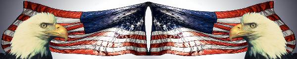 Reflective belt patriotic 2 INCH patriotic/wavingusflag-bald-eagle.jpg