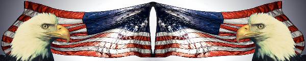 Reflective belt patriotic 2 INCH patriotic/wavingusflag-bald-eagle.jpg