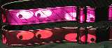 Reflective Belt 2 inch novelty/novelty/eyes-pt-belt-neon-pink.jpg