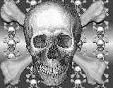  Skull Reflective belt skull/skull/detailed-skull-crossbones.jpg
